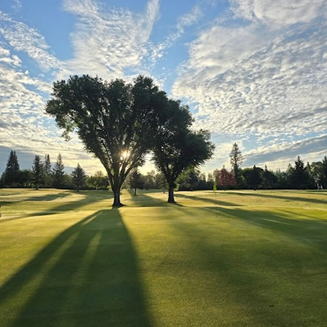 1628411131295590062 1